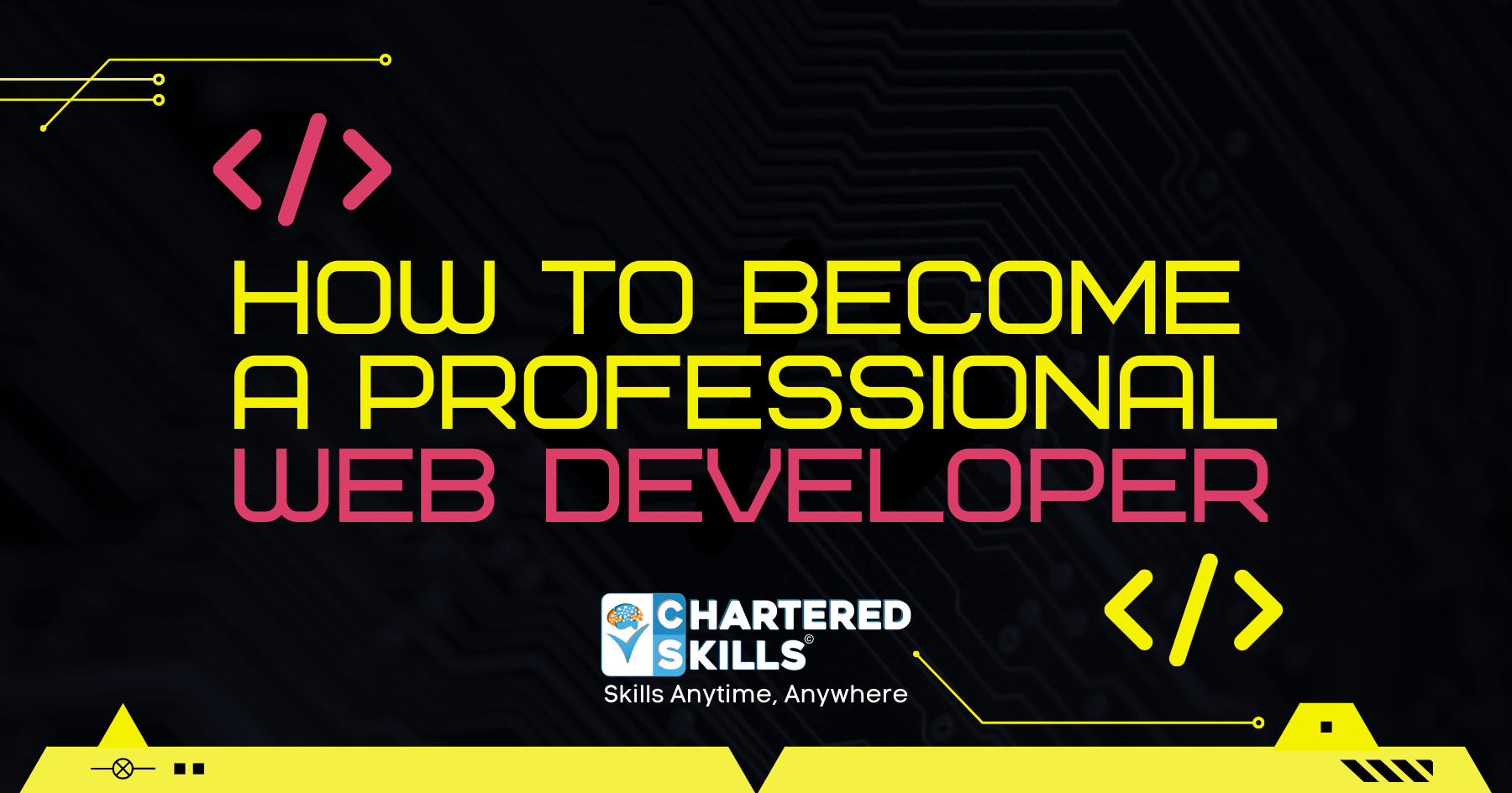 How to be a professional web developer